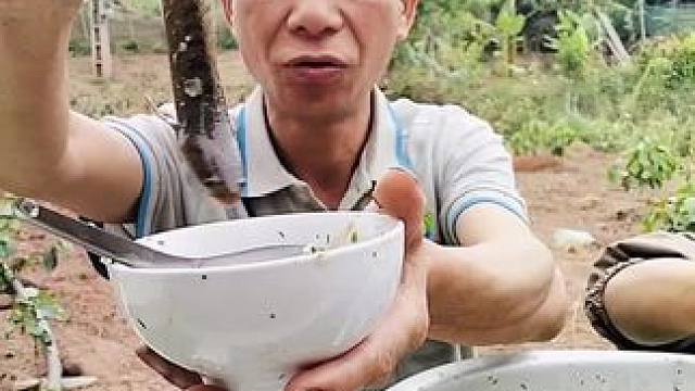 越南特色鱼生 #越南美食 #把家乡的味道分享给大家 #东南亚美食 #舌尖上的美食 #农村美食记录生活