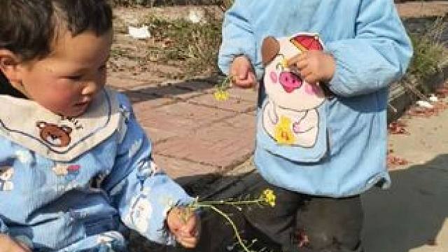 今天双双玩得挺好。 #内容启发搜索