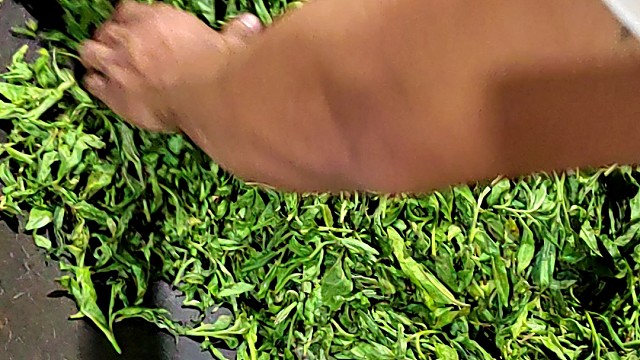 春天最喜欢听的声音