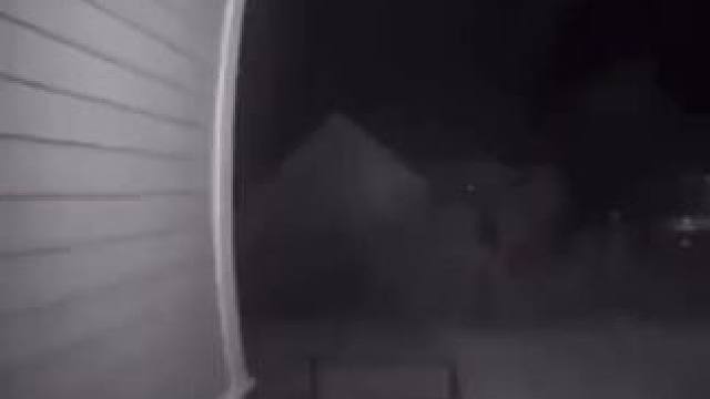 这只猫能闻出来谁是给#抽象 #猫咪 #搞笑 #科普 #监控录像