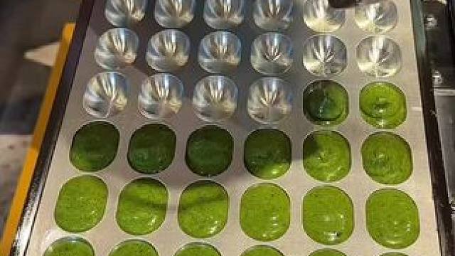 我发布了一个新视频，快来围观吧！