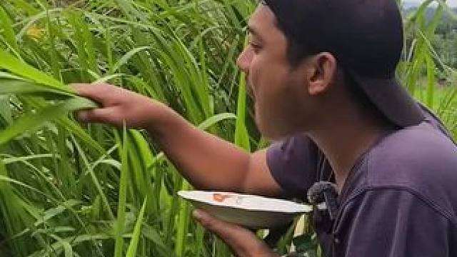 新鲜蔬菜 #东南亚美食#新鲜蔬菜