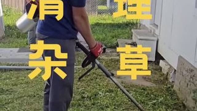 清理杂草 #国外视频分享 #清理 #除杂草 #解压视频