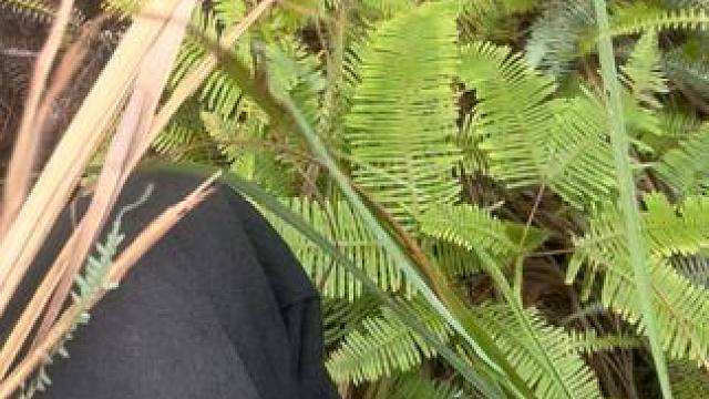 #广东人拜山 #祭祖扫墓 不是，下山的路在哪，怎么不见上来的路了