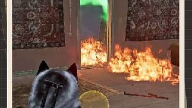 谁知道我是怎么噶的……