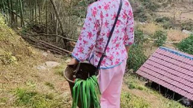 晨起摘菜，幕归喂猪，山风拂面，日出而作日落而息，心归田园，自在一方！#人间烟火#农村生活 #平淡治愈
