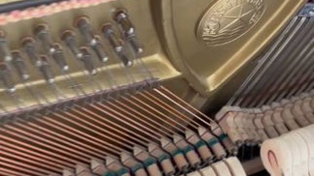 和郝总去换新弦