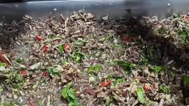 越南特色鱼生 #越南鱼生#越南美食#越南生活 #越南特色美食#内容启发搜索