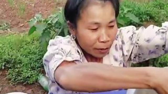 越南特色美食螃蟹沙拉 #把家乡的味道分享给大家 #东南亚美食 #舌尖上的美食 #农村美食记录生活 #