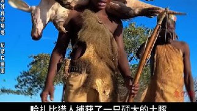 土豚遭殃了！ #纪录片 #原始部落