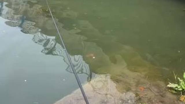 我勒个豆 我这可是小物钓啊！！#钓鱼 #小物钓