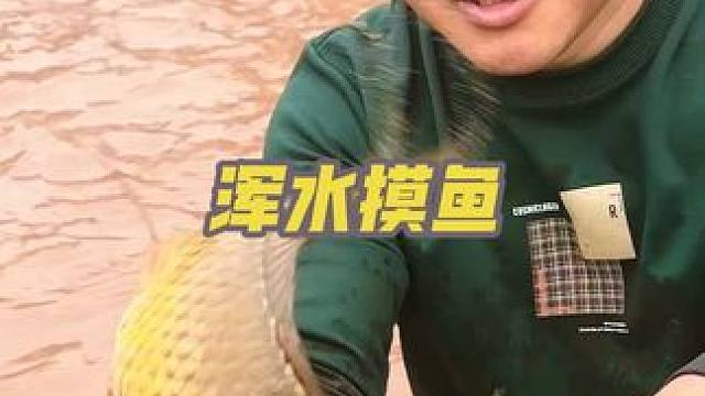 #户外活动 #农村生活 #抓鱼 #野炊 ，25年的免费抓鱼活动今天正式拉开序幕，清明节期间村里活动精