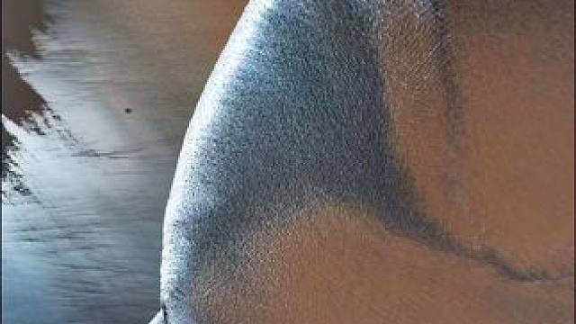 “清明蝴蝶现，故人寄思念”！清明时节钱塘江再现蝴蝶潮，潮水在阳光的映照下泛起银色光芒，宛若一只展翅飞