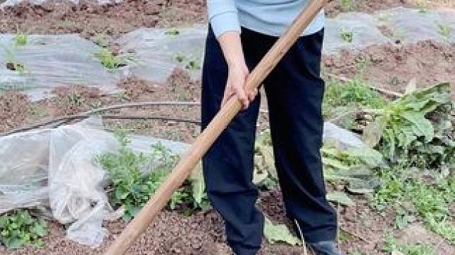 打着祭祖的名义来打野#日常  #乡村日常  #回村后的生活