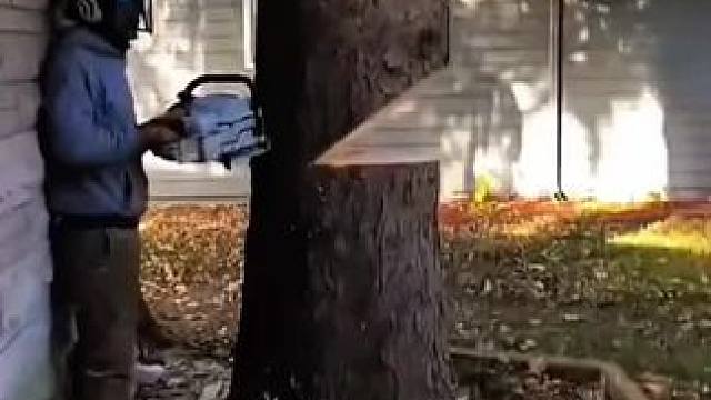 我发布了一个新视频，快来围观吧！