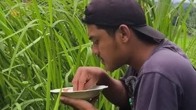 吃草 #荒野求生 #爱生活爱美食 #越南生活 #内容启发搜索 #萤火计划