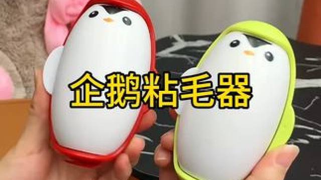 神奇的粘毛器 神奇的粘毛器!不仅能轻松清理头发和猫猫狗狗掉落的毛发，水一冲就干净能继续用了 #粘毛神