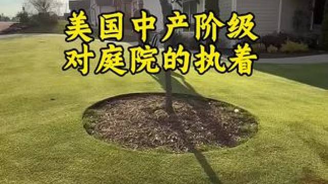 外国佬对待草坪都这么认真的吗？ 会不会有点磨洋工的嫌疑！#国外视频分享 #解压 #草坪 #磨洋工