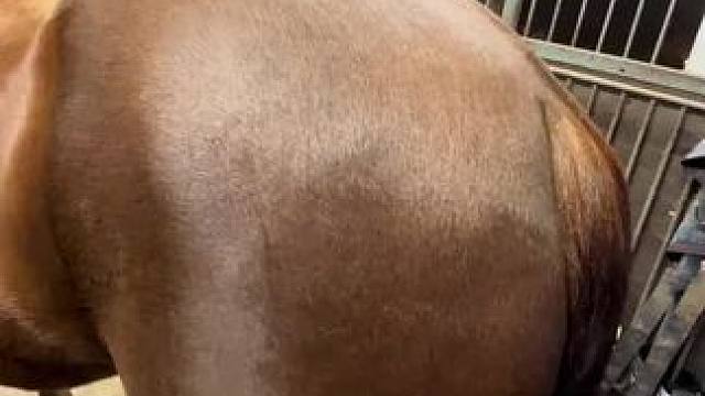 我发布了一个新视频，快来围观吧！