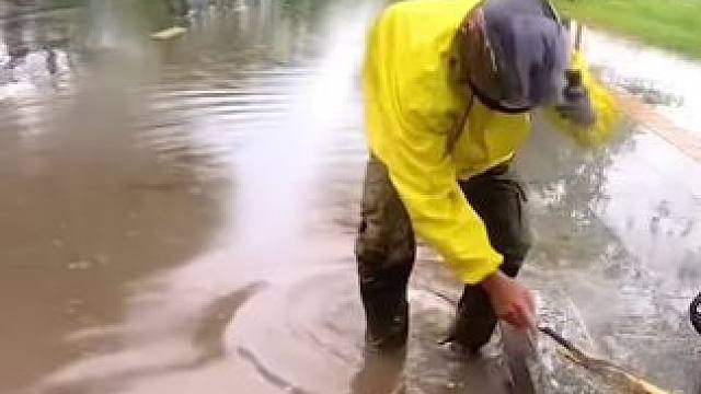 我发布了一个新视频，快来围观吧！