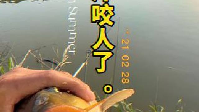#钓鱼的乐趣只有钓鱼人懂 #春天就要去钓大鱼