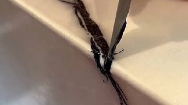 专业的瓷砖美缝技术。 #美缝施工 #强迫症看了很享受 #装修细节 #瓷砖美缝施工 #神奇的闲鱼