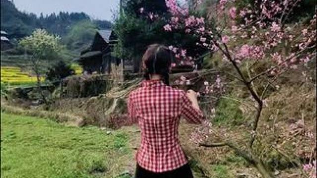 好喜欢这种感觉，平淡而宁静，没有城市的高楼大厦，也没有川流不息的汽车，唯有这一片片原生态的庄稼和蔬菜