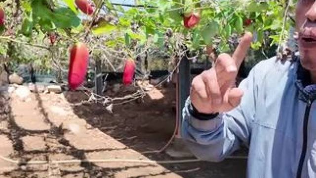 东南亚小哥哥 户外找美食 #我的农村生活 #内容启发搜索 #把家乡的味道分享给大家 #农村美食记录生