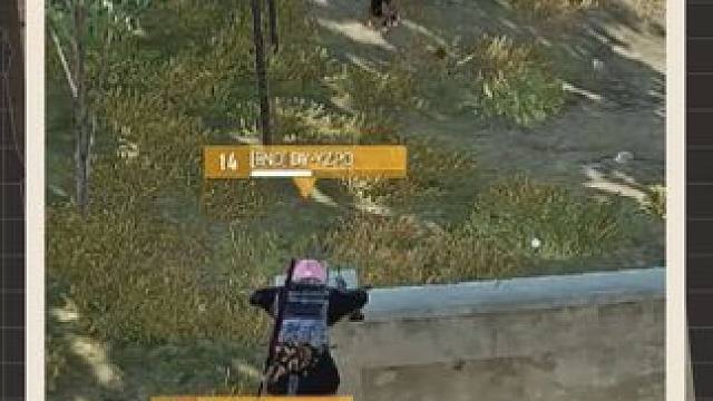 迎接我的狮子之牙吧！观战别人时候突发情况！