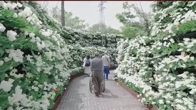 认知越高，教养越好的人，越不适合在底层生活#陈昌文老板社群 #认知觉醒 #陈昌文读书会 #人性