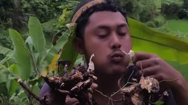 东南亚树叶哥 #我的农村生活 #把家乡的味道分享给大家 #东南亚美食 #农村美食记录生活 #爱生活爱