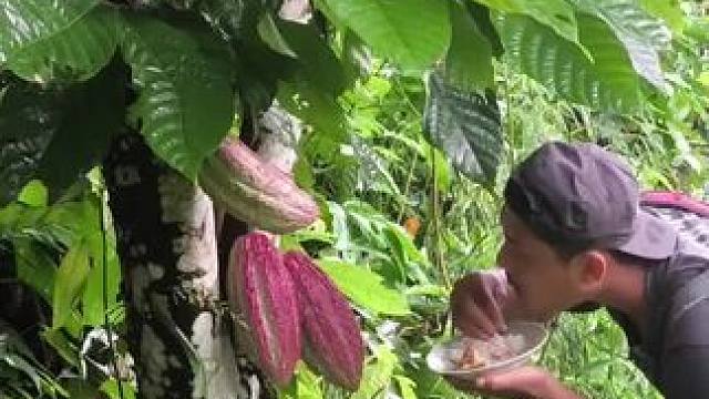 星球美食 #我的农村生活 #东南亚美食 #舌尖上的味道 #农村美食记录生活 #内容启发搜索