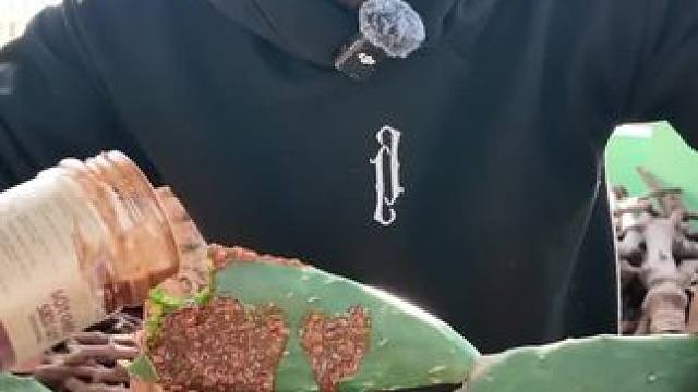 越南美食。#体验原生态美食的乐趣 #快来一起尝个鲜 #内容启发搜索 #舌尖上的味道