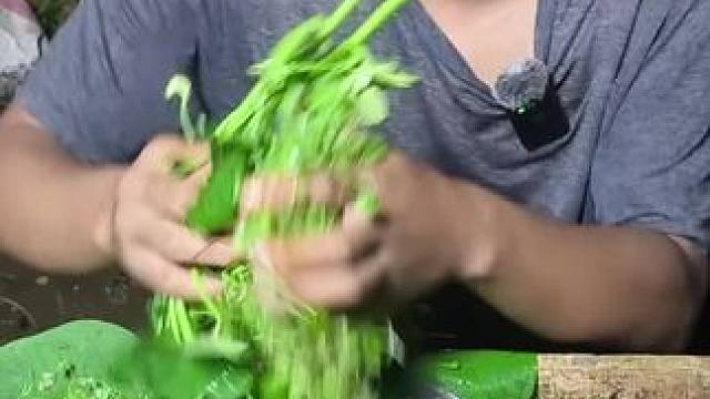 红薯叶 #我的农村生活 #把家乡的味道分享给大家 #东南亚美食 #我的乡野山居生活 #内容启发搜索