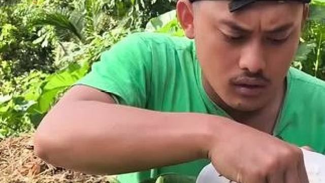 四季豆配辣椒酱 #我的农村生活 #东南亚美食 #舌尖上的味道 #农村美食记录生活 #内容启发搜索