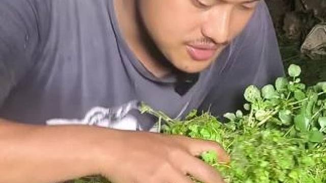 雷公根 #我的农村生活 #把家乡的味道分享给大家 #东南亚美食 #我的乡野山居生活 #内容启发搜索