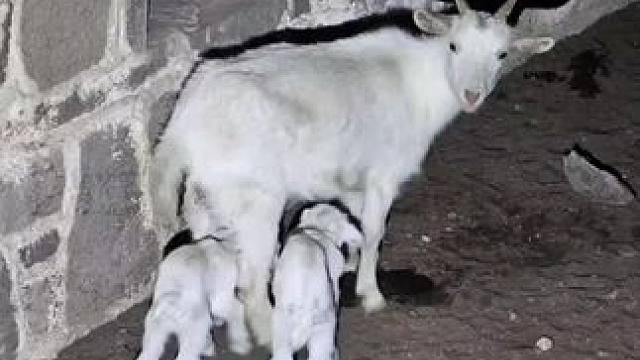 想出去浪看着以前的抖音更想出去浪了