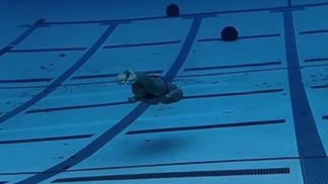 自由潜水水下二次跳水训练，感受一下深水区的压迫感！ #自由潜水 #游泳 #潜水 #游泳训练