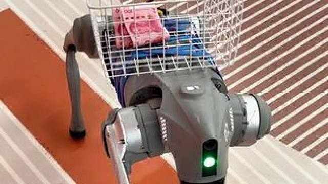 挑战用机器狗给女友买口红 #机器狗 #人工智能 #科技 #科技改变生活 #人工智能取代人类