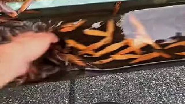 我发布了一个新视频，快来围观吧！