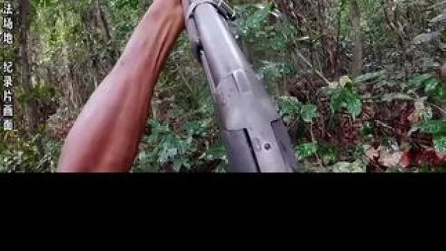 狒狒之死，凶手是原始人 #纪录片 #原始部落