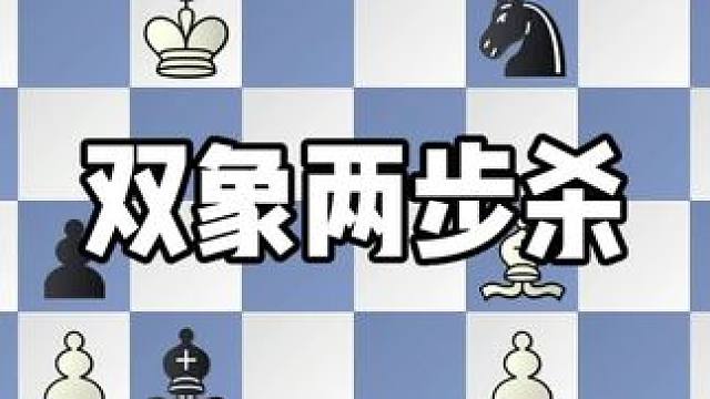 国际象棋双象两步杀