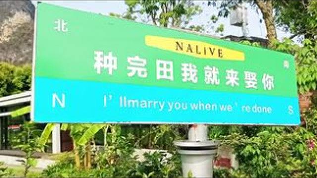 #100个春日生活心愿 #记录好好赴春约 #春日恢复能量的10件小事