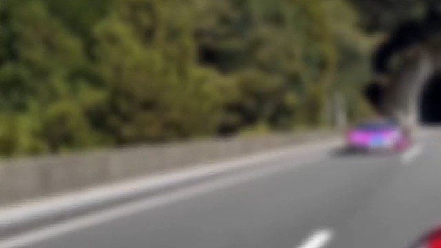 这种配色的大牛你爱了吗