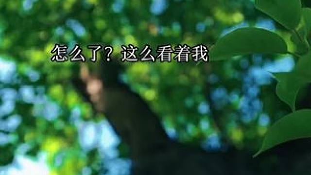 #江医生怀了他对头的崽广播剧 #猫耳FM 我就至于……我就脆弱