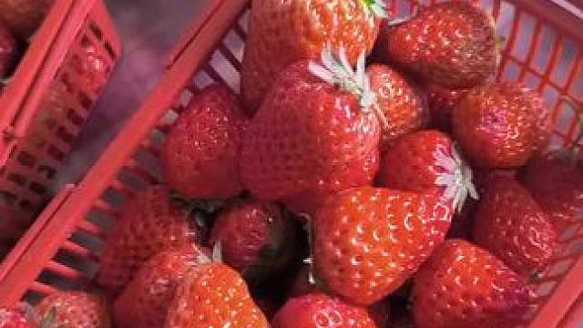 我发布了一个新视频，快来围观吧！