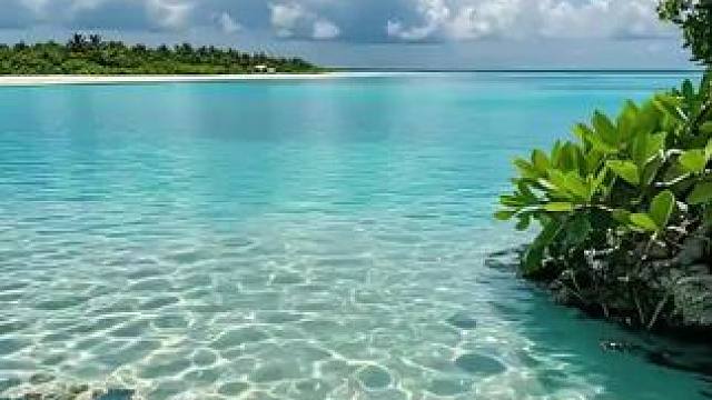 我发布了一个新视频，快来围观吧！