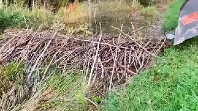 我发布了一个新视频，快来围观吧！