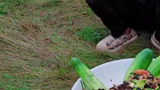 东南亚美食 #东南亚美食