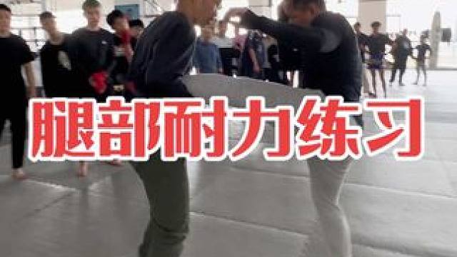 腿部耐力练习#泰拳 #自由搏击 #职业拳击